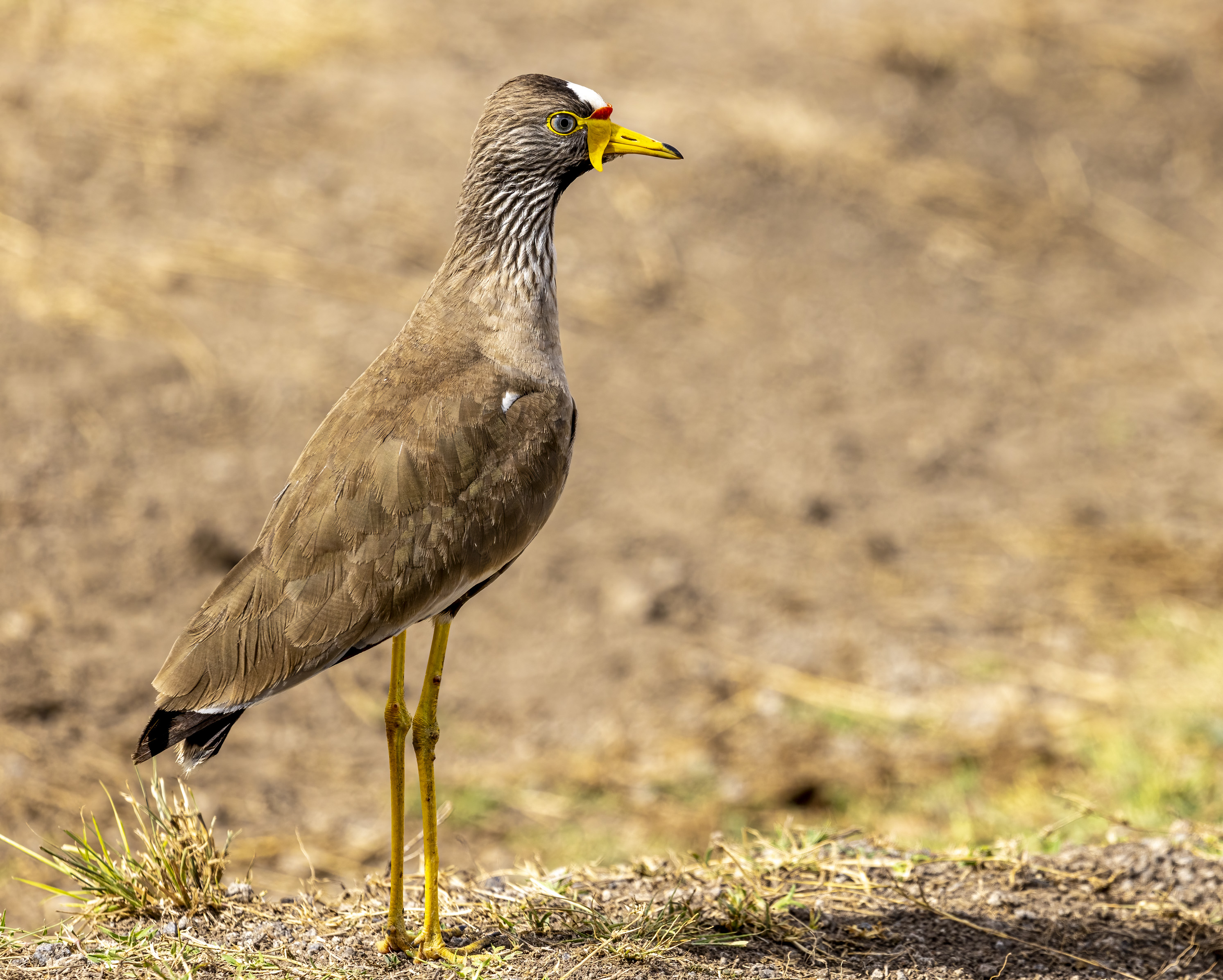 November 12, 2022-151344-2-Edit.jpg